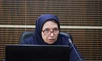 چگونه کیفیت پایان‌نامه‌ها را افزایش دهیم؟/ لزوم بازنگری در فرایندهای آموزشی پایان‌نامه
