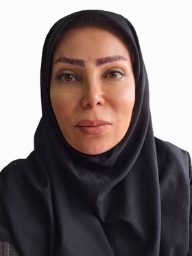 لیلا محمدی وصفگر